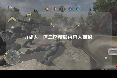 91成人一区二区精彩内容大揭秘