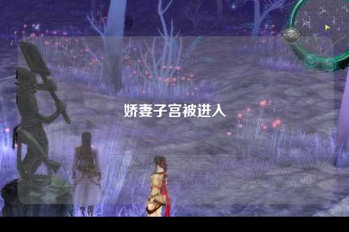 娇妻子宫被进入