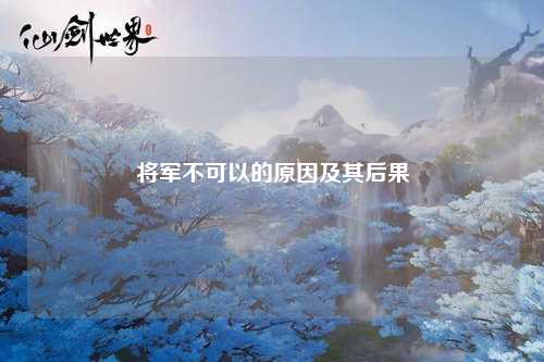 将军不可以的原因及其后果