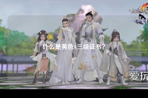 什么是黄色A三级证书？