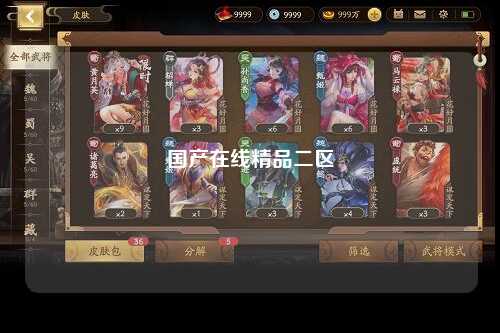 国产在线精品二区