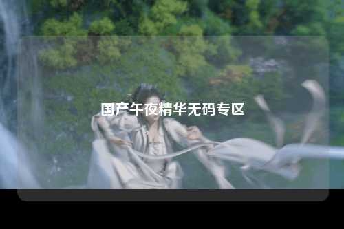国产午夜精华无码专区