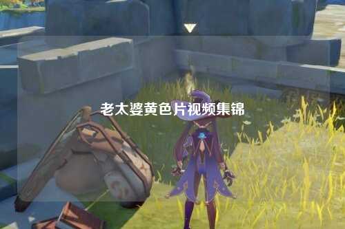 老太婆黄色片视频集锦
