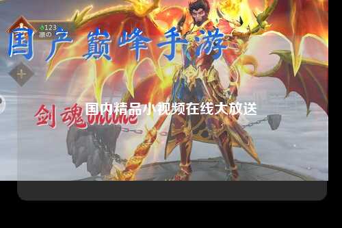 国内精品小视频在线大放送