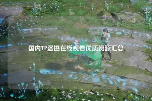 国内TP盗摄在线观看优质资源汇总