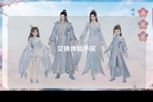 交换体验小说