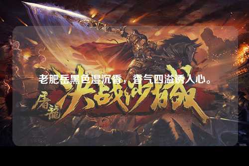 老肥岳黑色湿沉香，香气四溢诱人心。