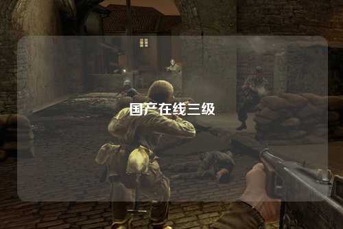 国产在线三级