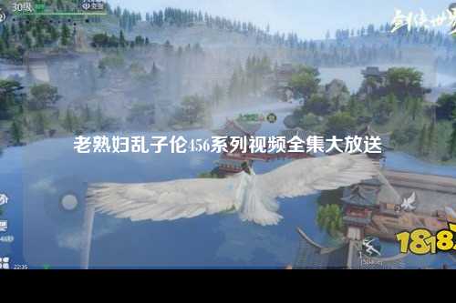 老熟妇乱子伦456系列视频全集大放送