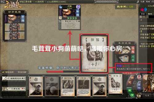 毛茸茸小狗萌萌哒，温暖你心房