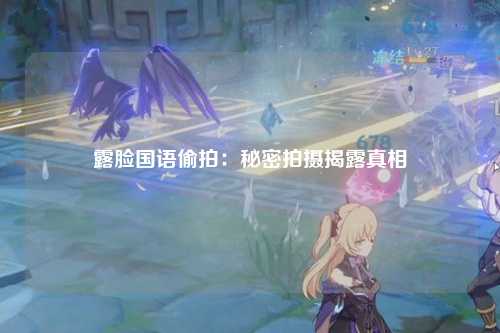 露脸国语偷拍：秘密拍摄揭露真相
